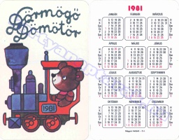 1981 0020