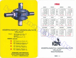1981 0128
