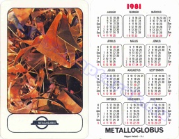 1981 0131