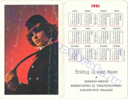 1981 0169