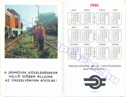 1981 0181