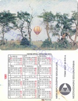 1981 0260