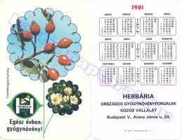 1981 0274