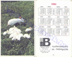 1981 0334