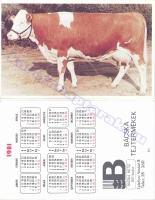 1981 0337