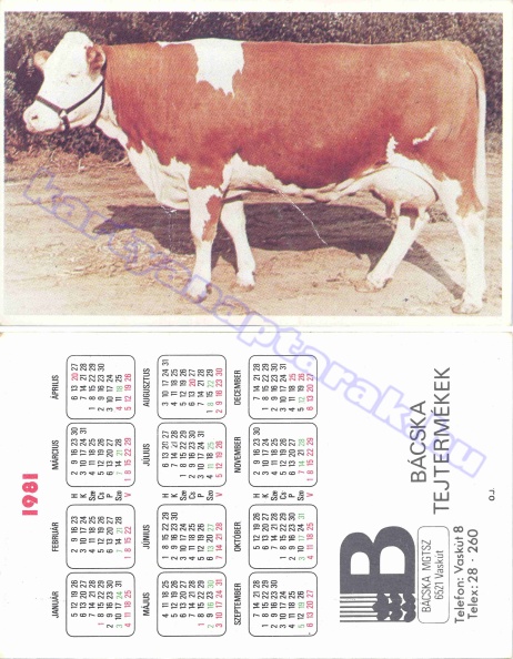 BÁCSKA MGTSZ BÁCSKA TEJTERMÉKEK 1981_0337.jpg