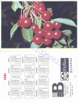 1981 0338
