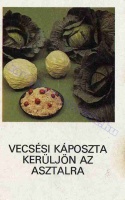 1981 0362