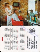 1981 0461