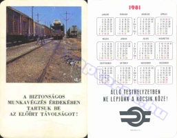 1981 0466