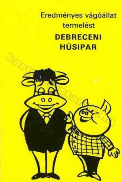 EREDMÉNYES VÁGÓÁLLAT TERMELÉST DEBRECENI HÚSIPAR 1981_0516.jpg