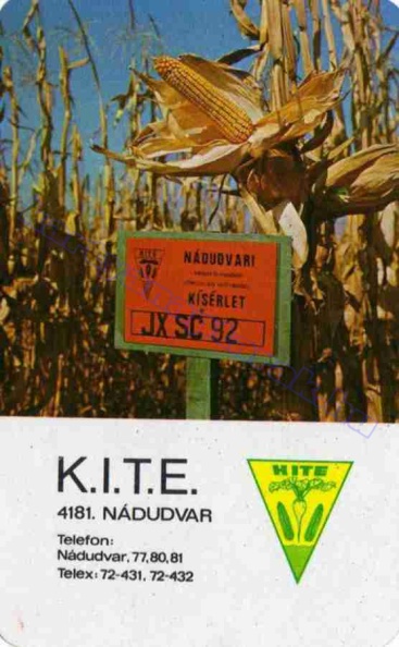 KITE 4181. NÁDUDVAR 1981_0524.jpg