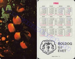 1981 0528