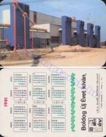 1981 0539