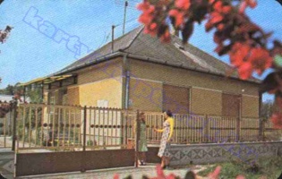 1981 0545