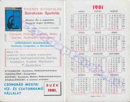 1981 0580