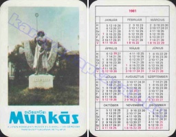 1981 0589