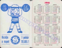 1981 0776