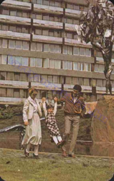1981_0798.jpg