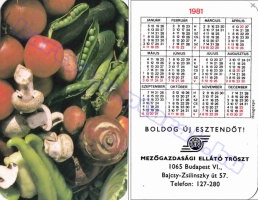 1981 0850