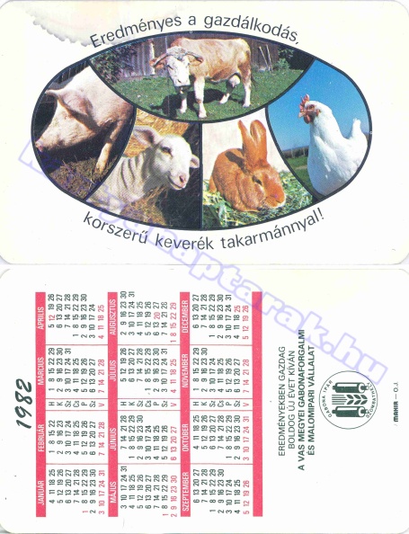 EREDMÉNYES GAZDÁLKODÁS, KORSZERŰ KEVERÉK TAKARMÁNY! BUÉK A VAS MEGYEI GABONAFORGALMI ÉS MALOMIPARI VÁLLALAT 1982_0206.jpg