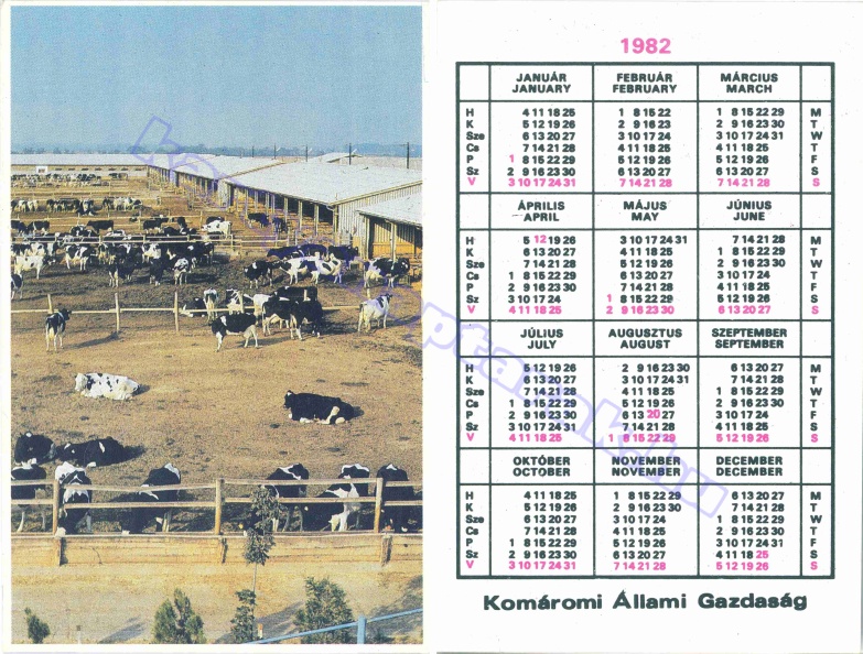 KOMÁROMI ÁLLAMI GAZDASÁG 1982_0207.jpg