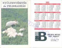 1982 0211