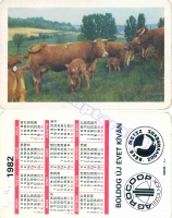 1982 0215