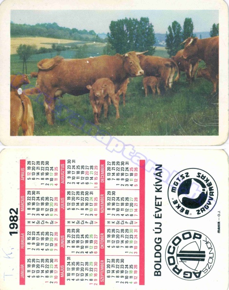 BÉKE MGTSZ ZAGYVARÉKAS AGROCOOP SZOLNOK 1982_0215.jpg
