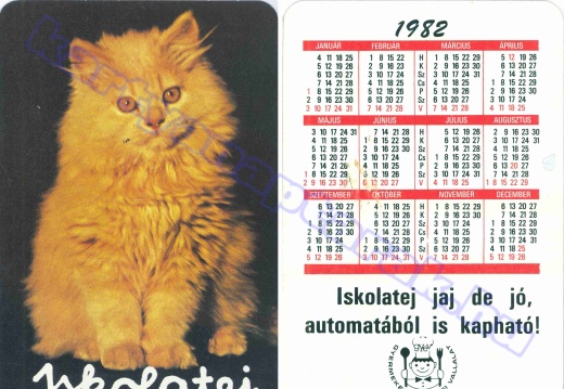 Macska - Cat