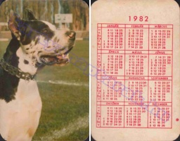 1982 0808