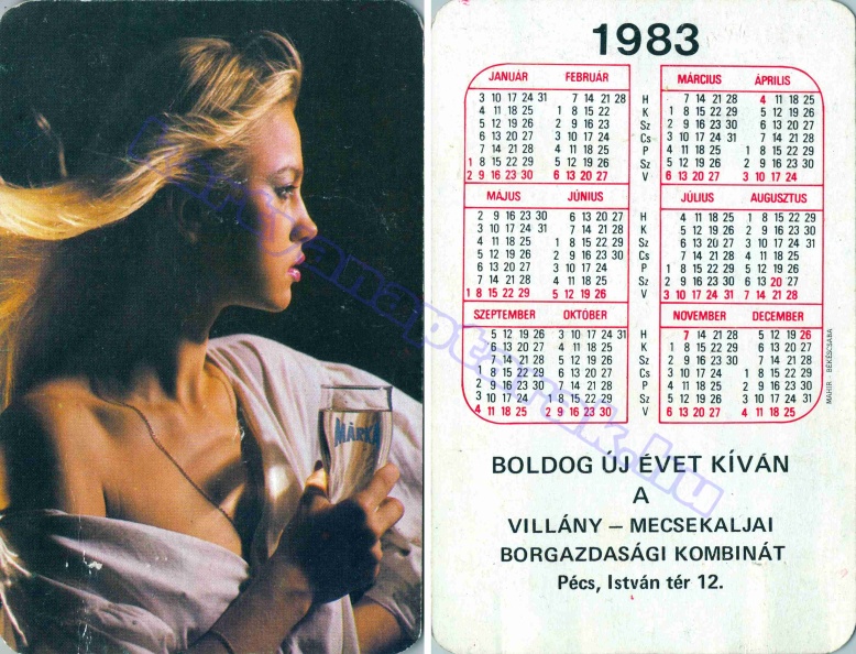 MÁRKA BUÉK A VILLÁNY - MECSEKALJAI BORGAZDASÁGI KOMBINÁT PÉCS 1983_0169.jpg