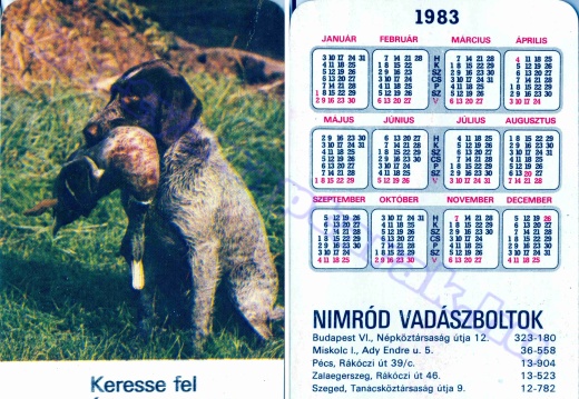Kacsa - Duck / Liba - Goose