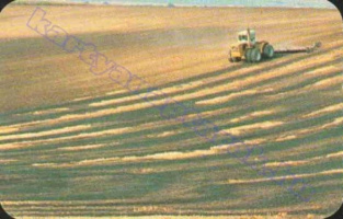 1983 0339