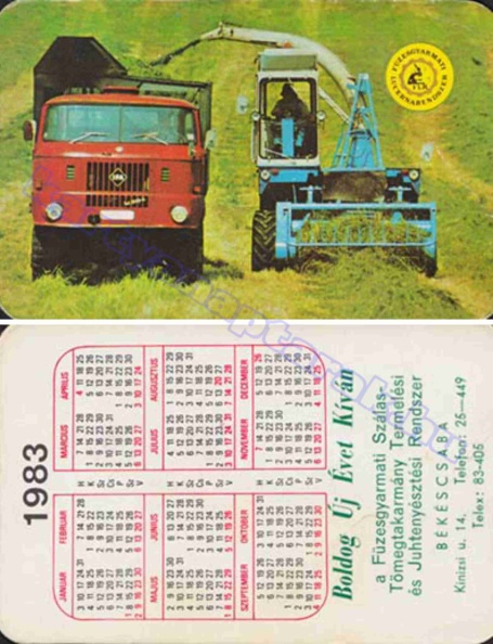 BUÉK A FÜZESGYARMATI SZÁLAS TÖMEGTAKARMÁNY TERMELŐ ÉS JUHTENYÉSZTÉSI RENDSZER BÉKÉSCSABA 1983_0526.jpg