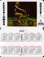 1983 0993