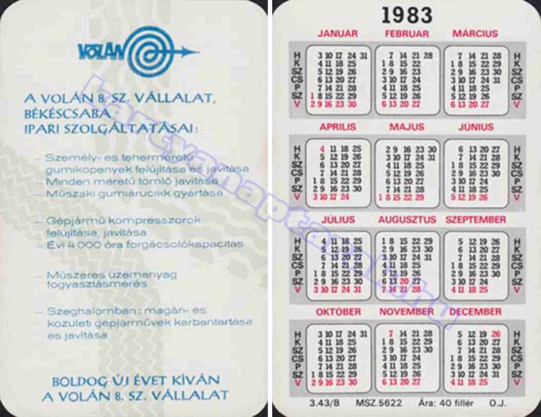 A VOLÁN 8. SZÁMÚ VÁLLALAT, BÉKÉSCSABA IPARI SZOLGÁLTATÁSAI 1983_1004.jpg