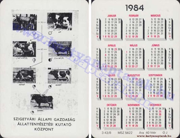 SZIGETVÁRI ÁLLAMI GAZDASÁG ÁLLATTENYÉSZTÉSI KUTATÓ KÖZPONT 1984_0898.jpg