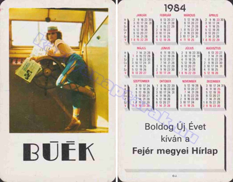 BUÉK FEJÉR MEGYEI HÍRLAP 1984_1115.jpg