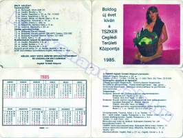 1985 0042