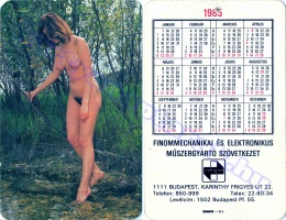 1985 0061