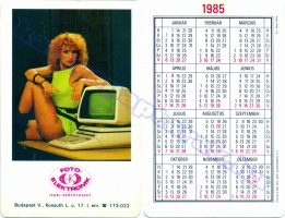 1985 0071