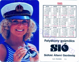 1985 0181