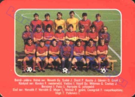 1985 0289