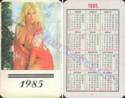 1985 0429
