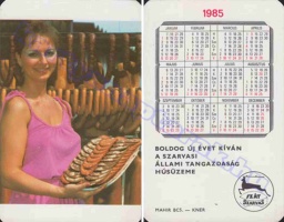 1985 0498