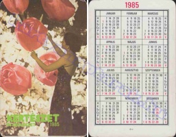 1985 0629