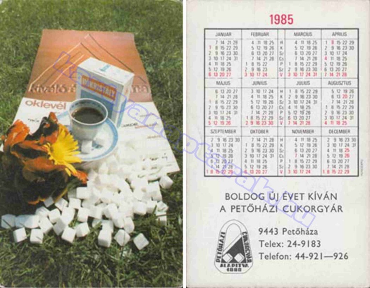KIVÁLÓ ÁRUK FÓRUMA HÓKRISTÁLY PETŐHÁZI CUKORGYÁR 1985_0673.jpg