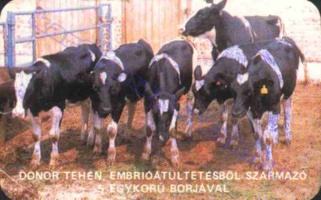1985 0971