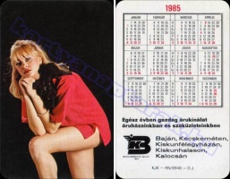 1985 1063
